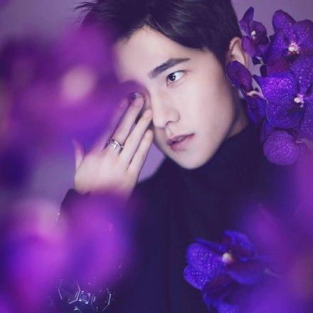 杨洋最新杂志